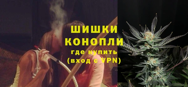 гашик Михайлов