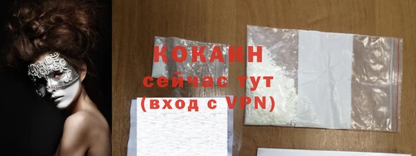 индика Заводоуковск