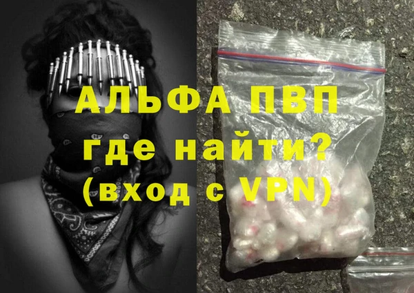 гашик Михайлов